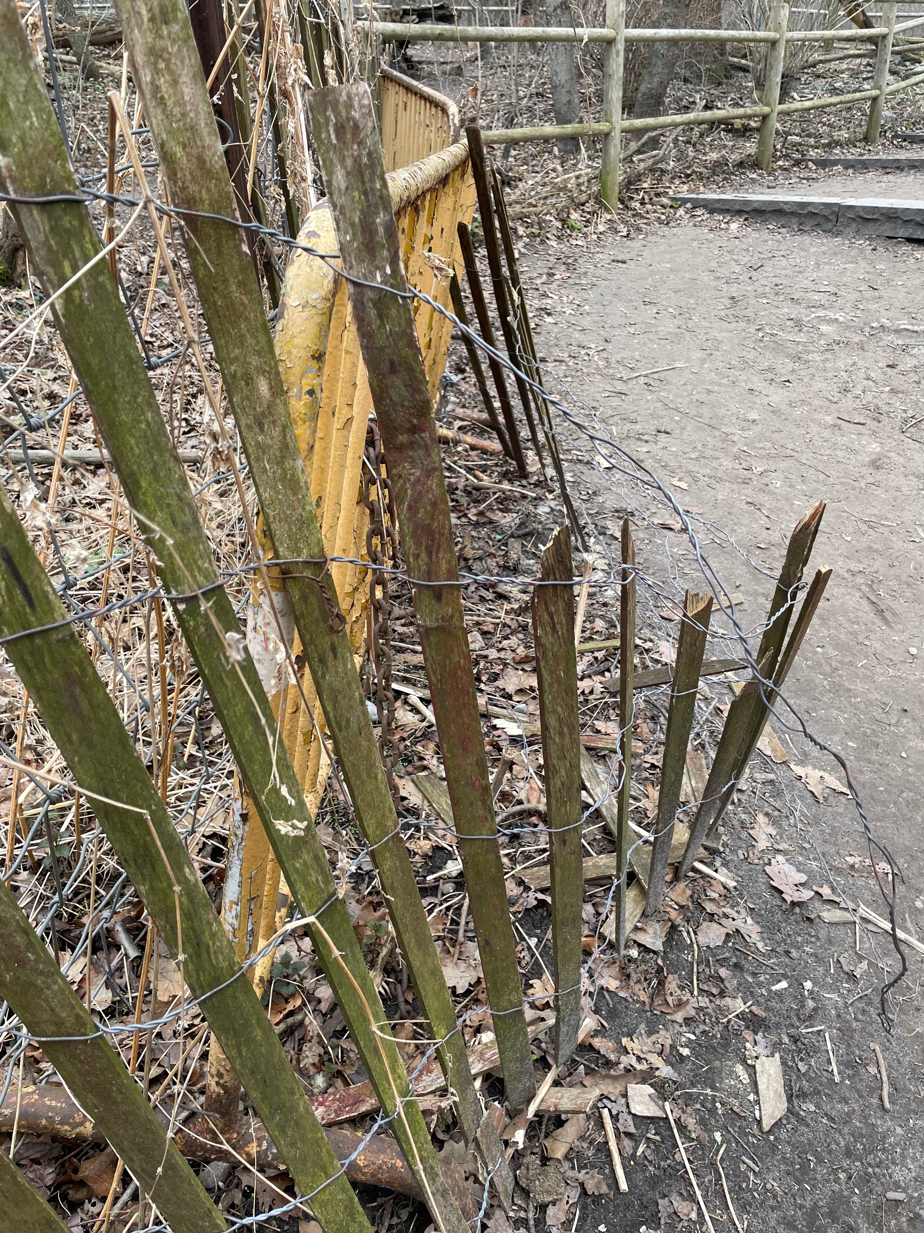Allotment Gardens, Early Spring